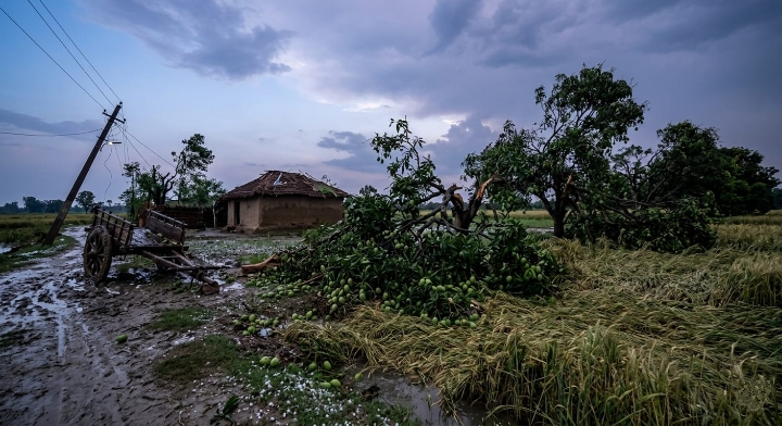 Destructioncaused by storm and lightning in Purvanchal UP.